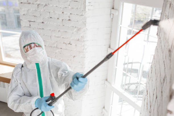  Santa Claus, IN Mold Removal Pros