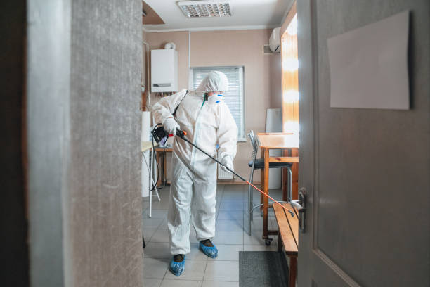 Best Post-Construction Mold Inspection  in Santa Claus, IN