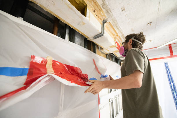 Best Basement Mold Removal  in Santa Claus, IN