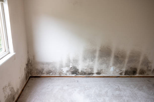 Best Indoor Air Quality Assessment  in Santa Claus, IN